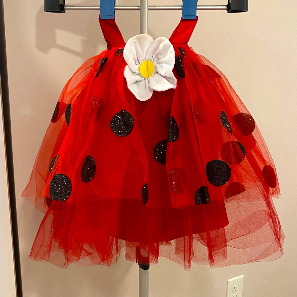 Pottery Barn Kids Ladybug Costume 12-24M